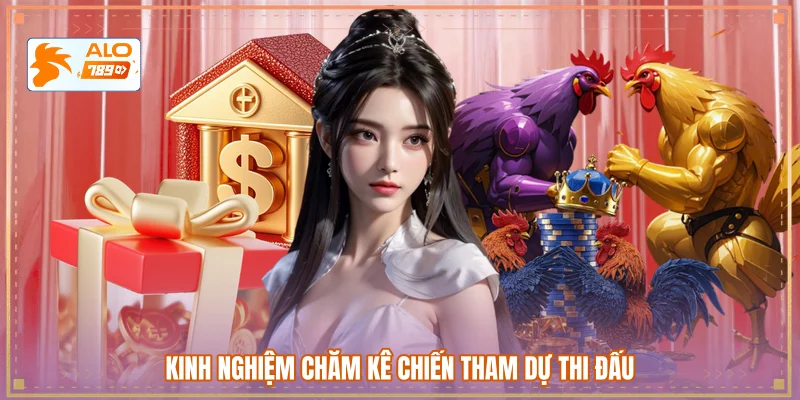 Kinh nghiệm chăm kê chiến tham dự thi đấu 